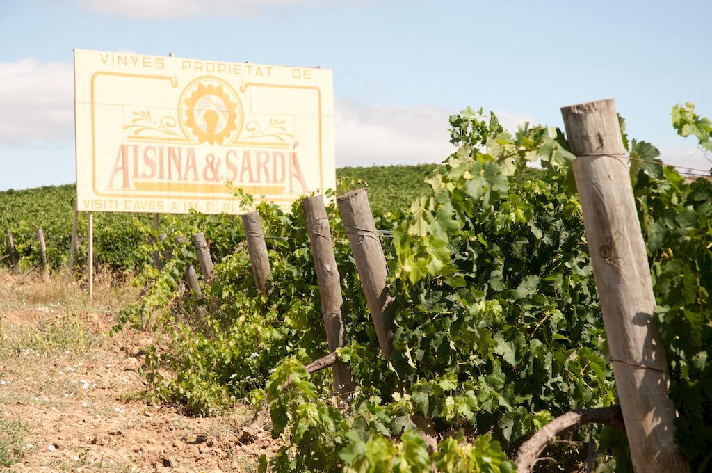 Alsina & Sarda SVAM Group