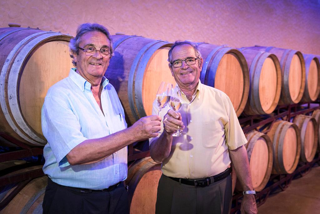 Alsina & Sarda SVAM Group