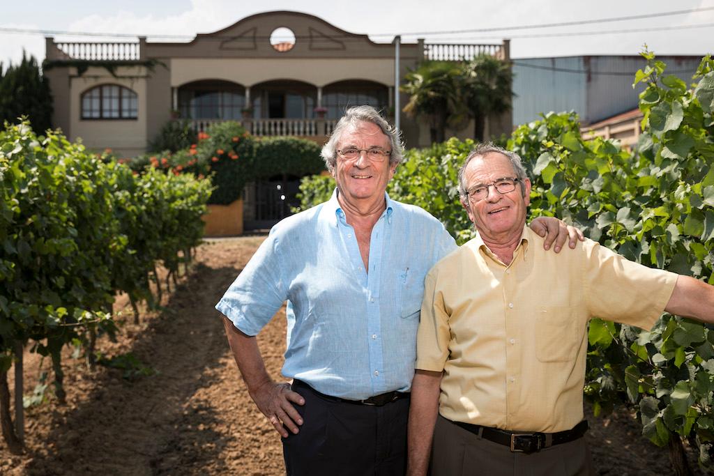 Новая эра кавы: тренды на экологию, выдержку и уникальность терруара